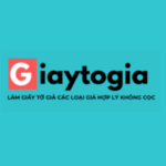 Profilový obrázek giaytogiacom